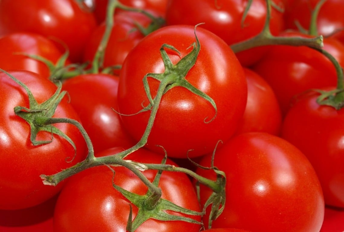 Benefícios do tomate (Foto: Reprodução)