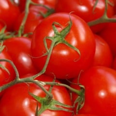 Benefícios do tomate (Foto: Reprodução)