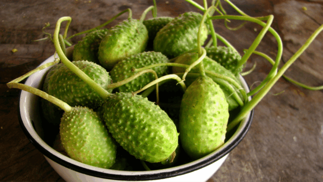 O vegetal esquecido que pode fazer diferença na sua saúde (Foto: Divulgação)