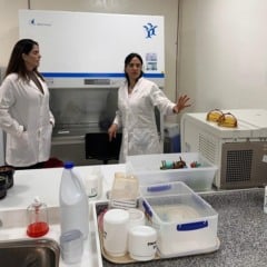 Equipe também visitou os laboratórios do Centro de Investigações em Bioquímica Clínica e Imunologia (Fotos: Layana Rios/Suframa)