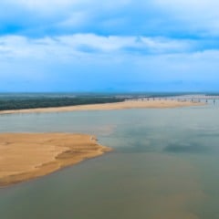   Minha odisseia no rio Branco