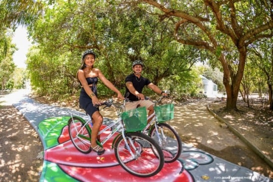 A população pode usar as bicicletas para passear dentro do parque ecológico, nas áreas calçadas que foram revitalizadas (Foto: Diane Sampaio/PMBV) 