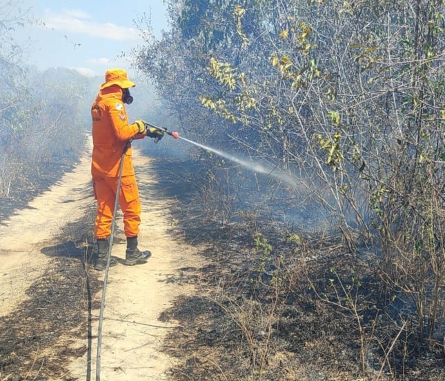 Brigadista do Corpo de Bombeiros no combate aos incêndios florestais (Foto: Divulgação)