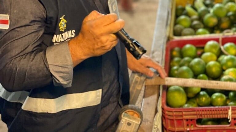 A apreensão foi realizada Agência de Defesa Agropecuária e Florestal do Estado do Amazonas (Adaf), com apoio da Polícia Militar de Roraima e do Ministério da Agricultura. Foto: divulgação/Adaf