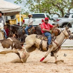 A cavalgada é uma oportunidade de valorizar a cultura e fortalecer os laços entre as famílias da região (Foto Divulgação)