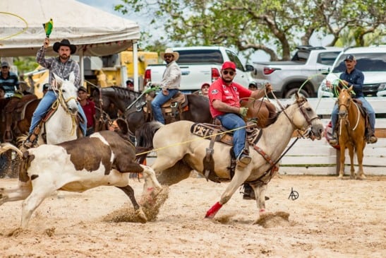 A cavalgada é uma oportunidade de valorizar a cultura e fortalecer os laços entre as famílias da região (Foto Divulgação)