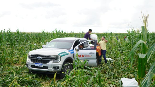 Programa de Aquisição de Alimentos abre inscrições para agricultores familiares