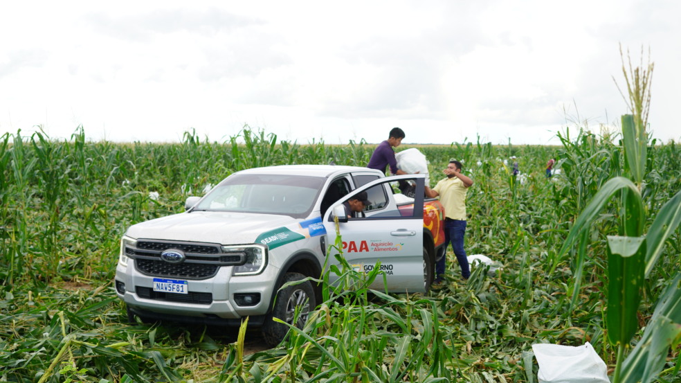 Programa de Aquisição de Alimentos abre inscrições para agricultores familiares