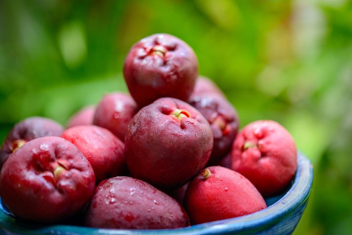 Jambo é fruta muito comum em quintais brasileiros (Foto: Reprodução)