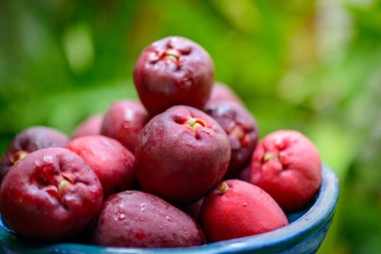 Jambo é fruta muito comum em quintais brasileiros (Foto: Reprodução)