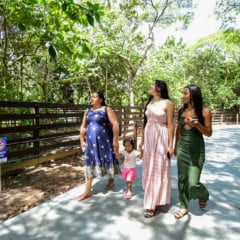 Bosque dos Papagaios reabre ao público após reforma; Confira os horários de funcionamento