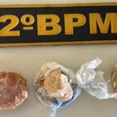 Droga apreendida e apresentada na Central de Flagrantes (Foto: Divulgação) 