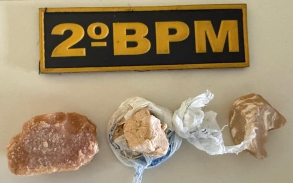 Droga apreendida e apresentada na Central de Flagrantes (Foto: Divulgação) 