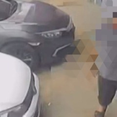 O suspeito já possuía antecedentes criminais por furto e posse de drogas (Foto: Ascom/Sesp) 