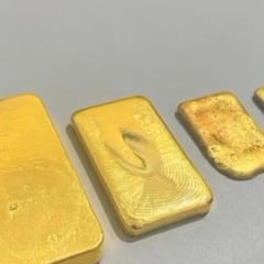 Barras de ouro apreendidas com o suspeito (Foto: Divulgação) 