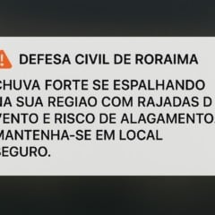  Os alertas aparecem de forma destacada na tela e podem soar mesmo se o aparelho estiver no modo silencioso. (Foto: Ilustração/IA)