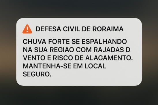  Os alertas aparecem de forma destacada na tela e podem soar mesmo se o aparelho estiver no modo silencioso. (Foto: Ilustração/IA)