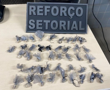 Entorpecentes apreendidos com o adolescente (Foto: Divulgação) 