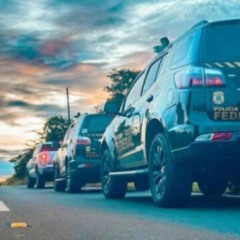 Do ouro à cassiterita, seguidas operações da PF revelam um poder paralelo