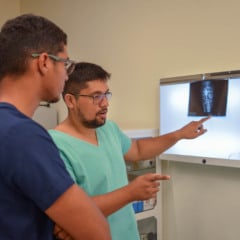 Saiba como a Medicina Veterinária protege animais, pessoas e meio ambiente