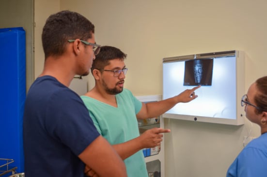 Saiba como a Medicina Veterinária protege animais, pessoas e meio ambiente