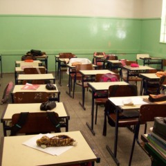 Mais uma operação policial e os antigos esquemas na Educação