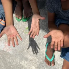 Trabalho infantil no Brasil