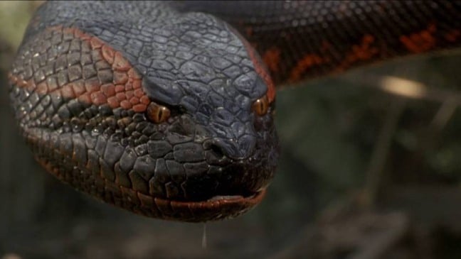 Primeiro filme de "Anaconda" foi lançado nos anos 90 (Foto: Divulgação)