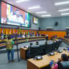 Audiência pública na ALERR debateu os impactos econômicos, sanitários e ambientais da presença de javalis e javaporcos em Roraima. (Foto:Marley Lima)