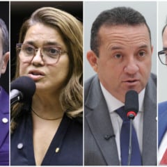 Os deputados federais Duda Ramos, Helena Lima, Pastor Diniz e Zé Haroldo Cathedral (Fotos: Câmara dos Deputados)