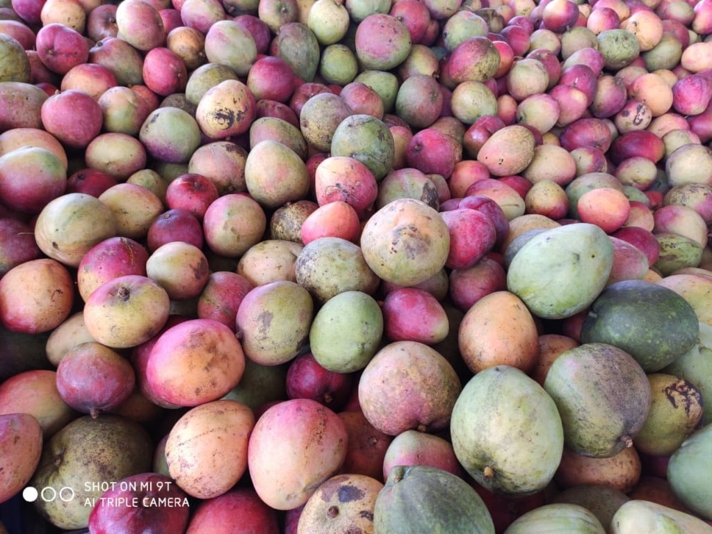 frutas