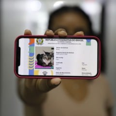Para participar, é necessário levar RG, CPF e os dados do animal, além de ter acesso a uma conta no Gov.br. (Foto: Divulgação)