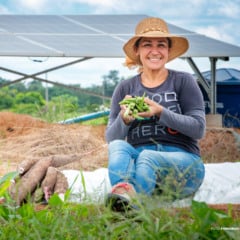 Agricultores podem se inscrever para concorrer a sistemas de irrigação com energia fotovoltaica