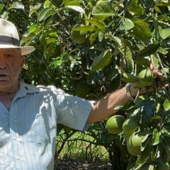 José Lopes Primo é proprietário da Chácara Aliança, em Caracaraí