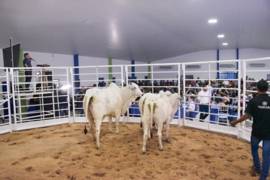 Foto: Nilzete Franco/FolhaBV