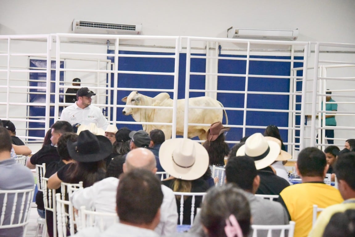 Pregões ocorrerao durante todos os dias de festa - Foto: Secom/RR