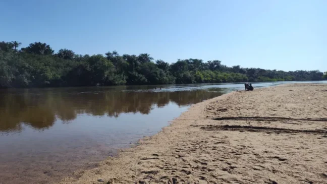 A iniciativa é organizada em parceria com o projeto de extensão “Nossos rios sem plástico” (Foto: Divulgação)