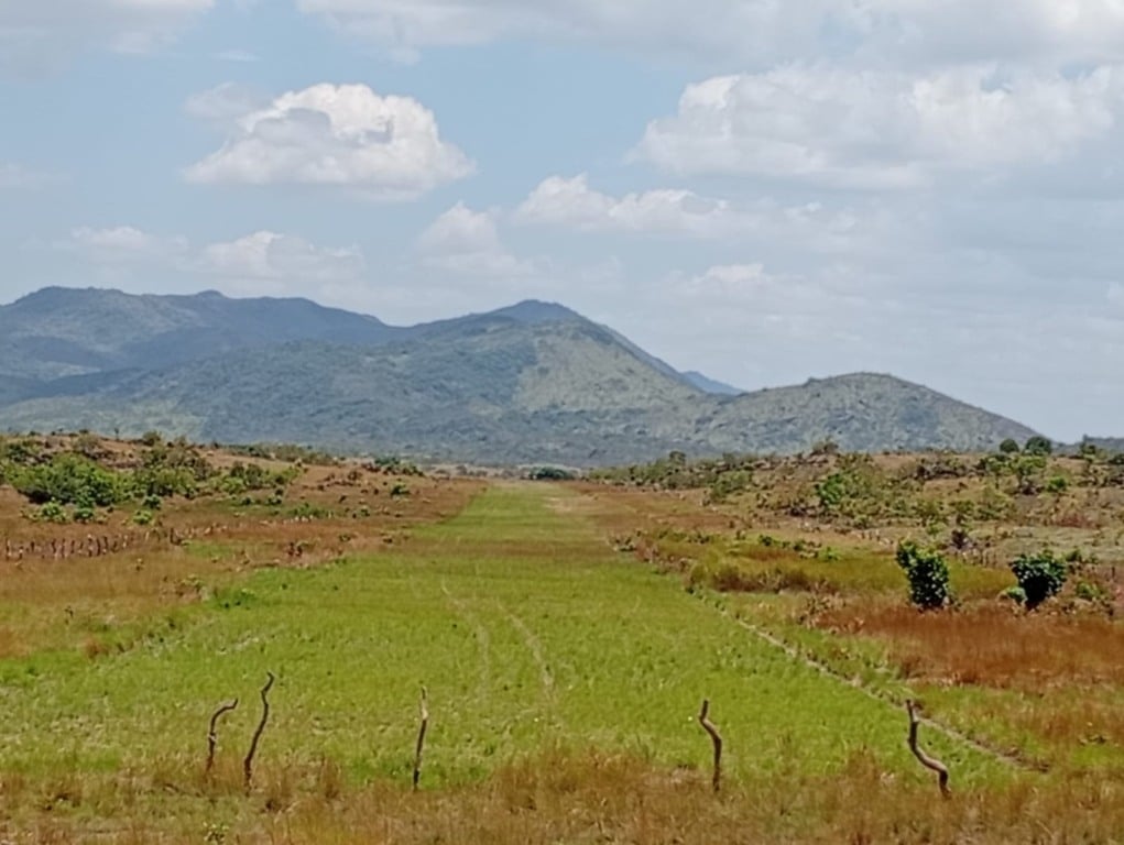 Pista de voo que foi desativada segundo os denunciantes. (Foto: Divulgação).
