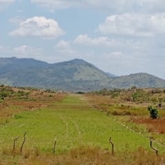 Pista de voo que foi desativada segundo os denunciantes. (Foto: Divulgação).