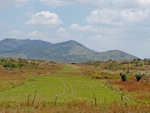 Pista de voo que foi desativada segundo os denunciantes. (Foto: Divulgação).