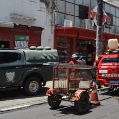 Onça-parda foi vista na avenida Jaime Brasil. (Foto: Wenderson Cabral/Folha BV)