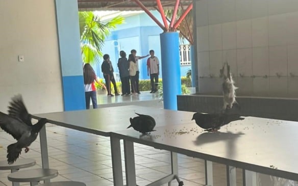 Pombos nas mesas do refeitório no Colégio de Aplicação. (Foto: Arquivo Pessoal)