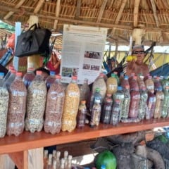 Região das Serras fortalece segurança alimentar com produção local