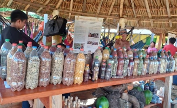 Região das Serras fortalece segurança alimentar com produção local