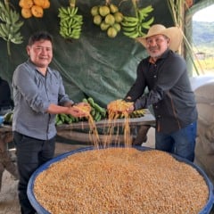 Além do milho, os indígenas colheram banana, cana de açúcar, batata, macaxeira e diversas outras hortaliças. (Foto: Divulgação).