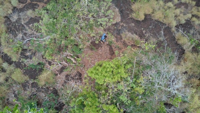 A etapa será conduzida pesquisador Lucas Barros, mestre em Ciências Biológicas, que deu continuidade à descoberta feita em 2011. Foto: arquivo pessoal/Lucas Barros