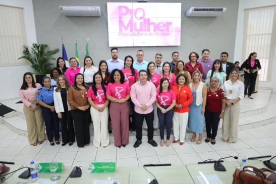 A Câmara conta atualmente com a maior bancada feminina de sua história. Foto: divulgação