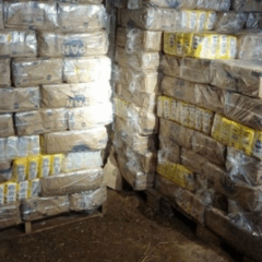 No depósito, foram apreendidas cerca de 4,4 toneladas de Harina Pan contrabandeadas da Venezuela. (Foto: Divulgação/PRF)