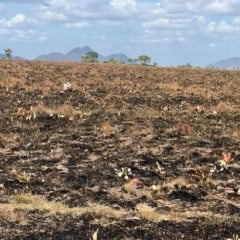 Alerta climático, com mudanças extremas e que se cruzam com a corrupção