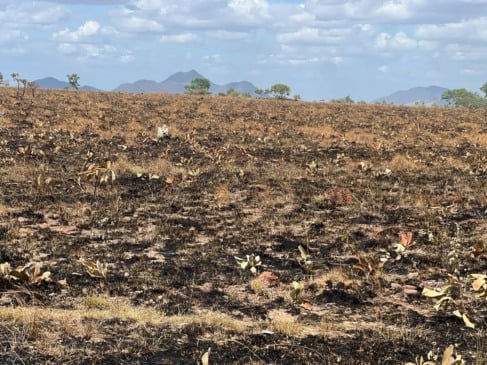 Alerta climático, com mudanças extremas e que se cruzam com a corrupção
